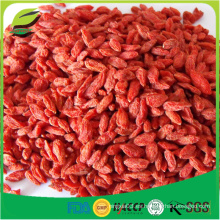 Berry goji certificada baya orgánica del goji del ningxia 550pcs / 50g con precio bajo